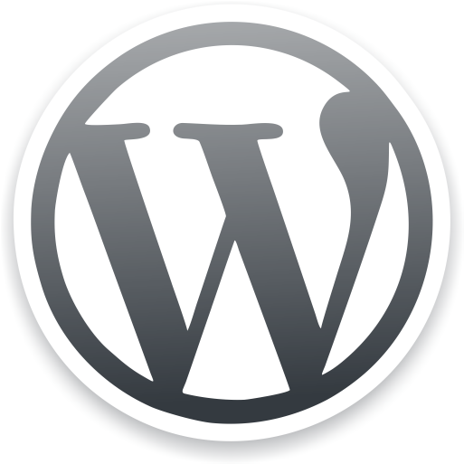 Albany Web Solutions Wordpress Image